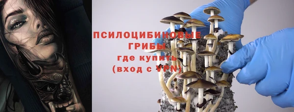 ГАЛЛЮЦИНОГЕННЫЕ ГРИБЫ Балабаново