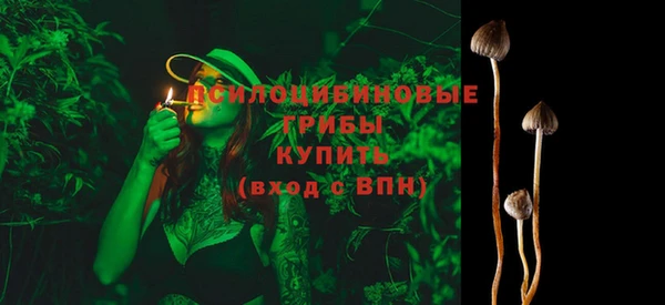 ГАЛЛЮЦИНОГЕННЫЕ ГРИБЫ Балабаново