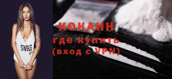 шишки Баксан
