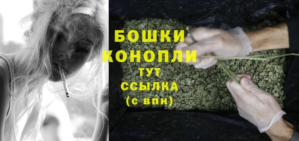 шишки Баксан