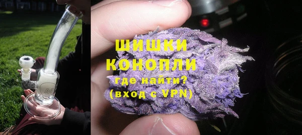 ГАЛЛЮЦИНОГЕННЫЕ ГРИБЫ Балабаново